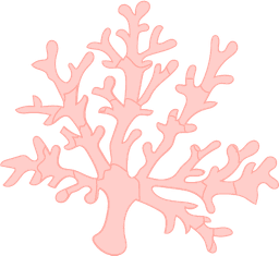 coral